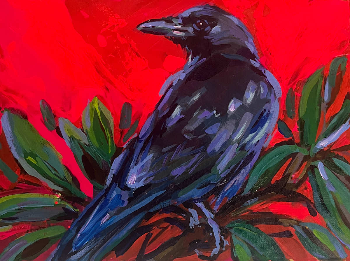Curious Crow by Laura Green 