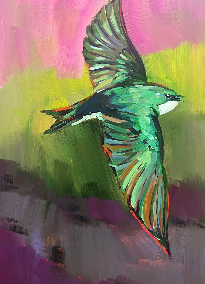 Swallow in Flight by Laura Green, Image 2.