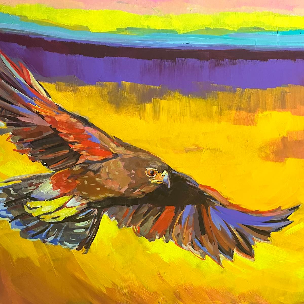 Hawk in Flight by Laura Green, Image 1.