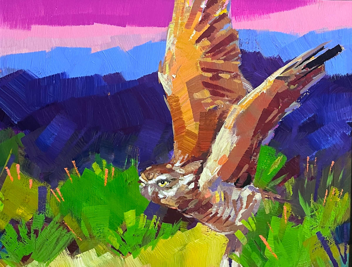 Burrowing Owl in Flight by Laura Green, Image 1.