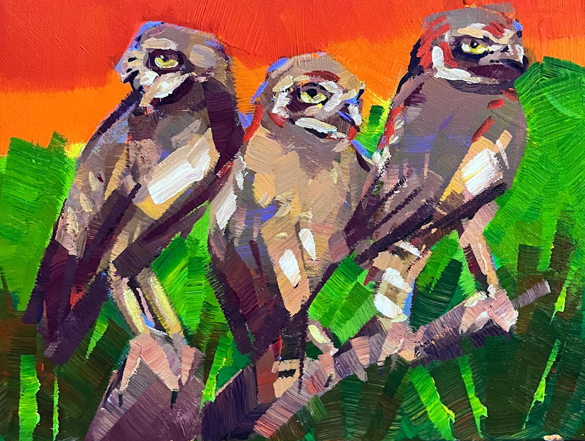 Three Sentinels (Burrowing Owls) by Laura Green, Image 1.