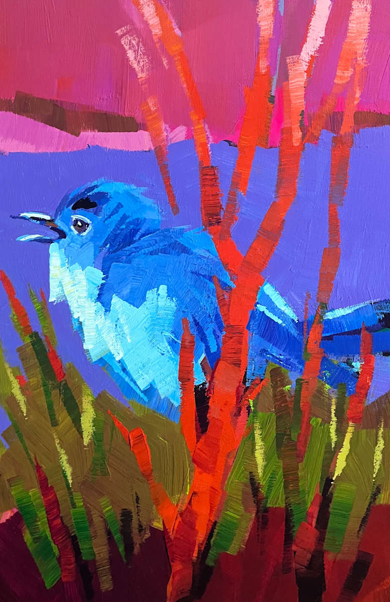 Blue-Gray Gnatcatcher by Laura Green, Image 1.
