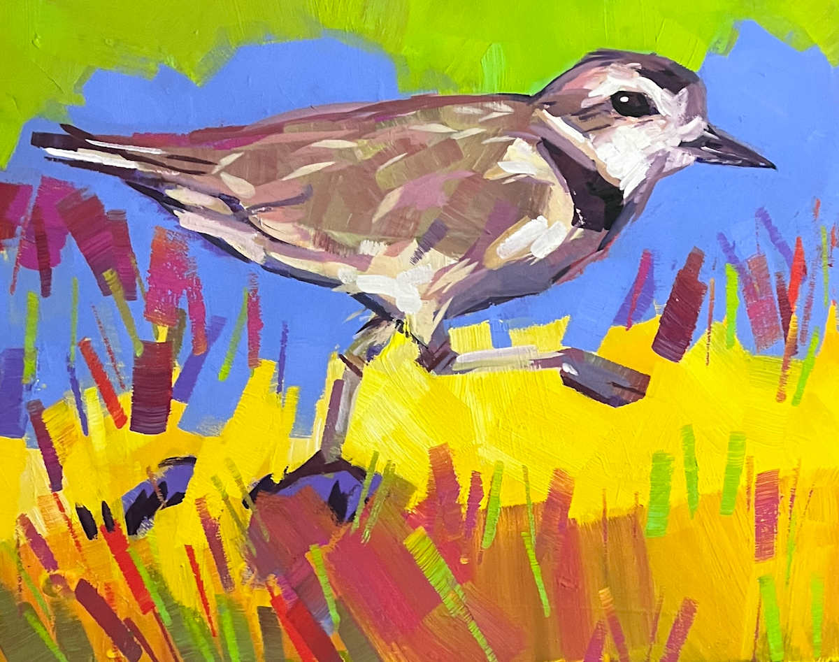 Snowy Plover by Laura Green, Image 1.