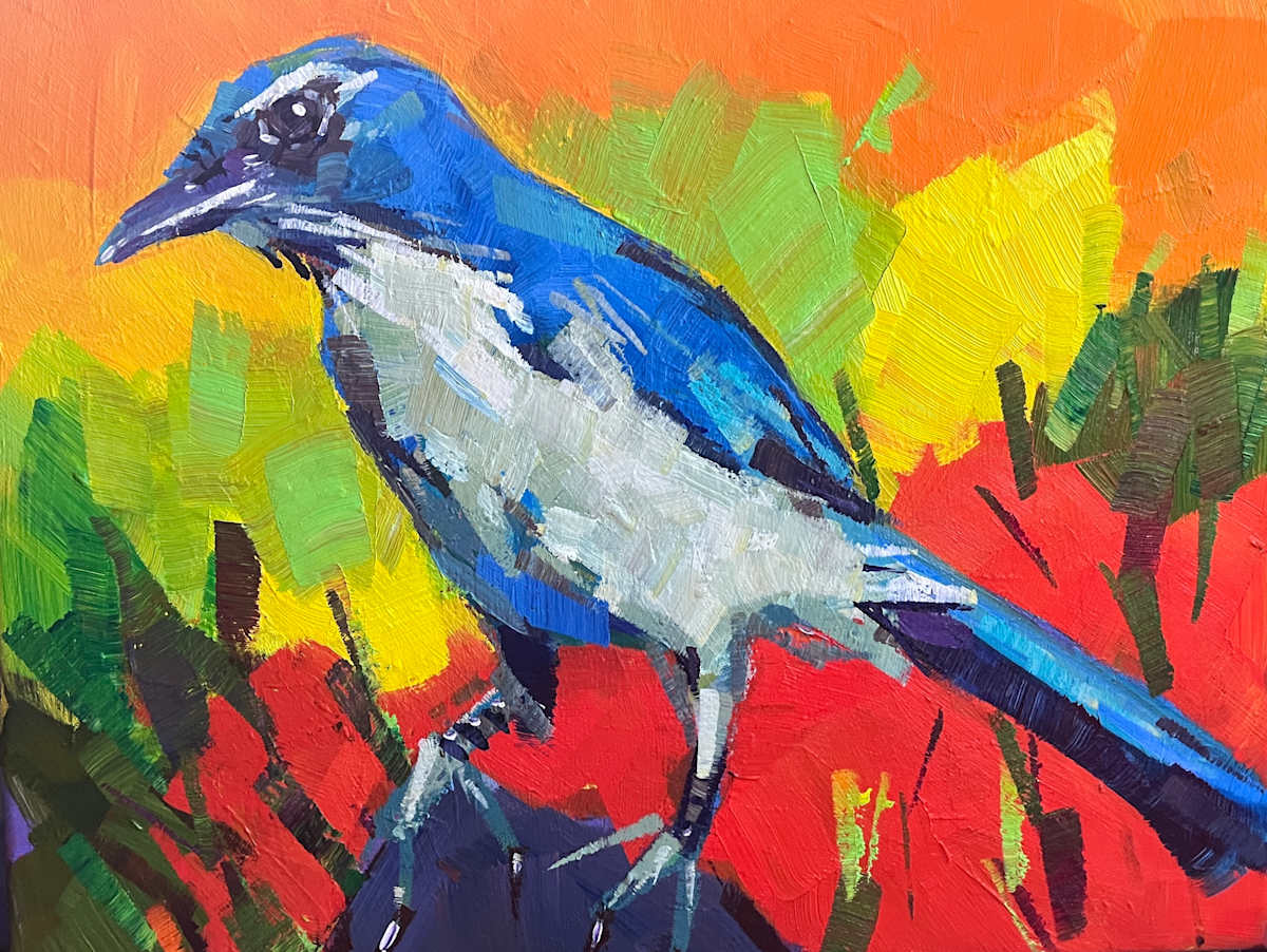 Scrub Jay in the Woods by Laura Green, Image 1.