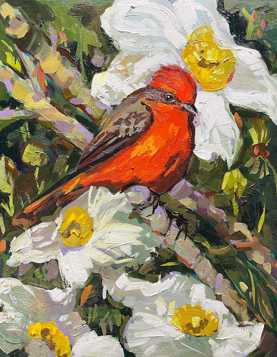 Vermilion Flycatcher by Laura Green, Image 8.
