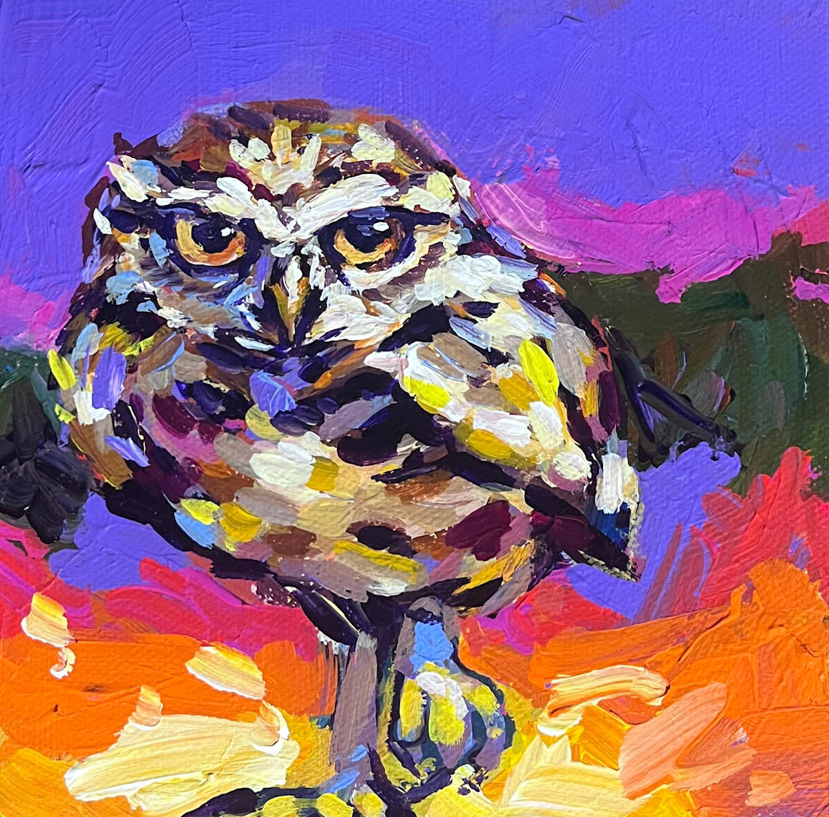 Burrowing Owl by Laura Green, Image 1.