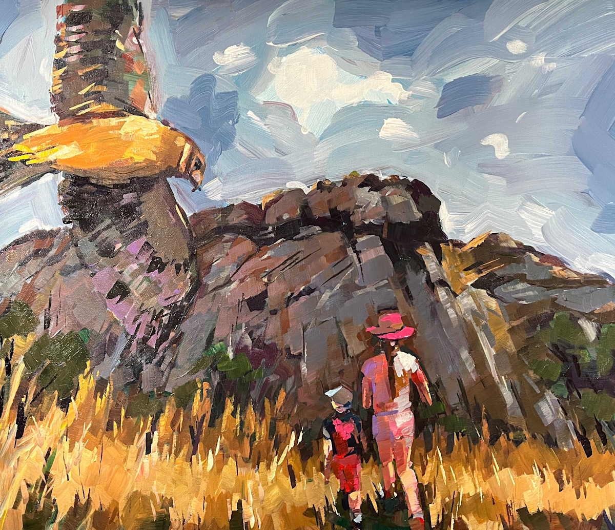 Hawk Overhead by Laura Green 