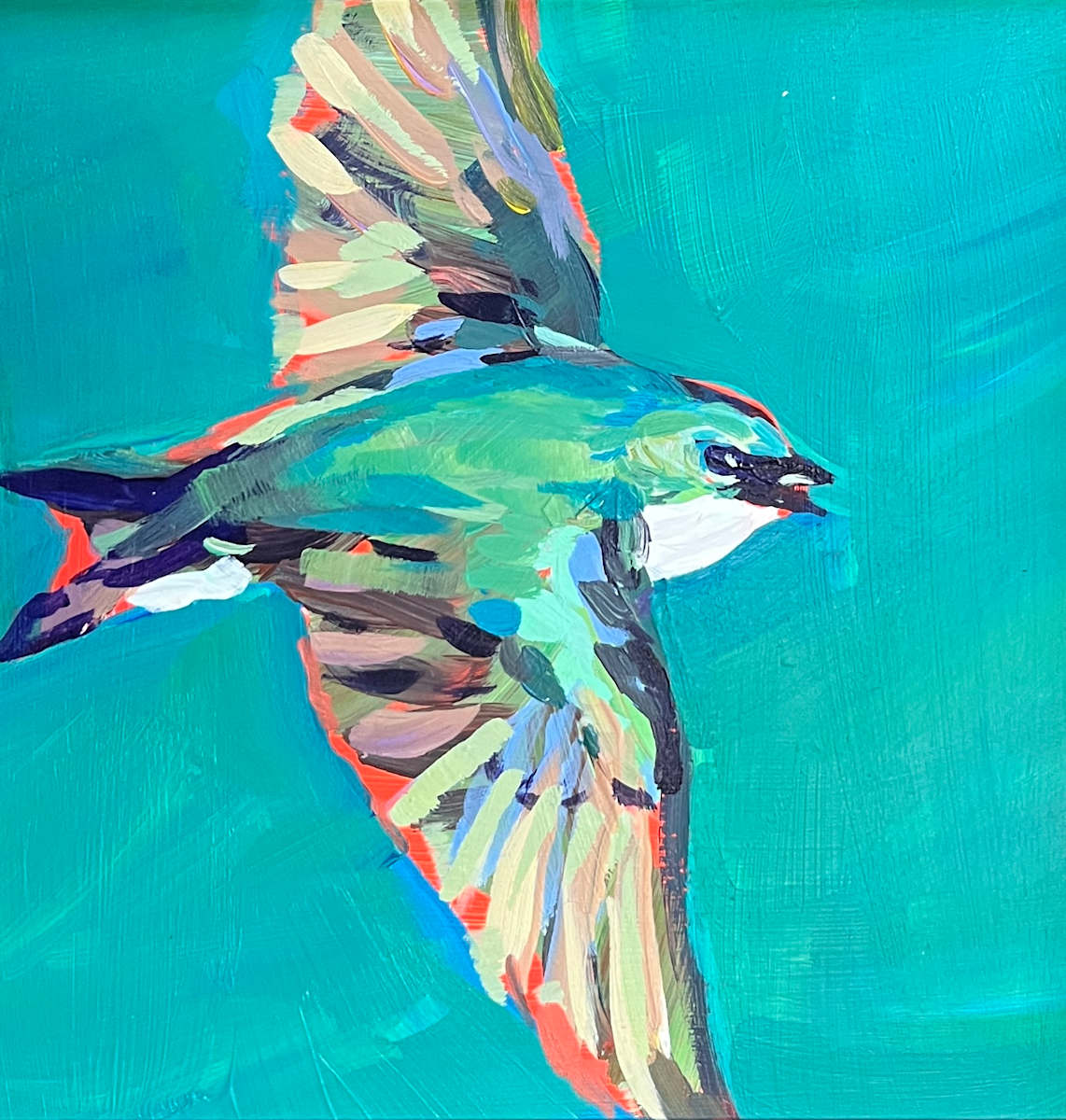 Swallow by Laura Green 