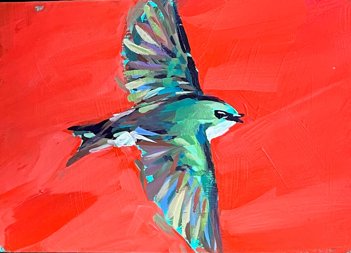 Swallow in Red by Laura Green 