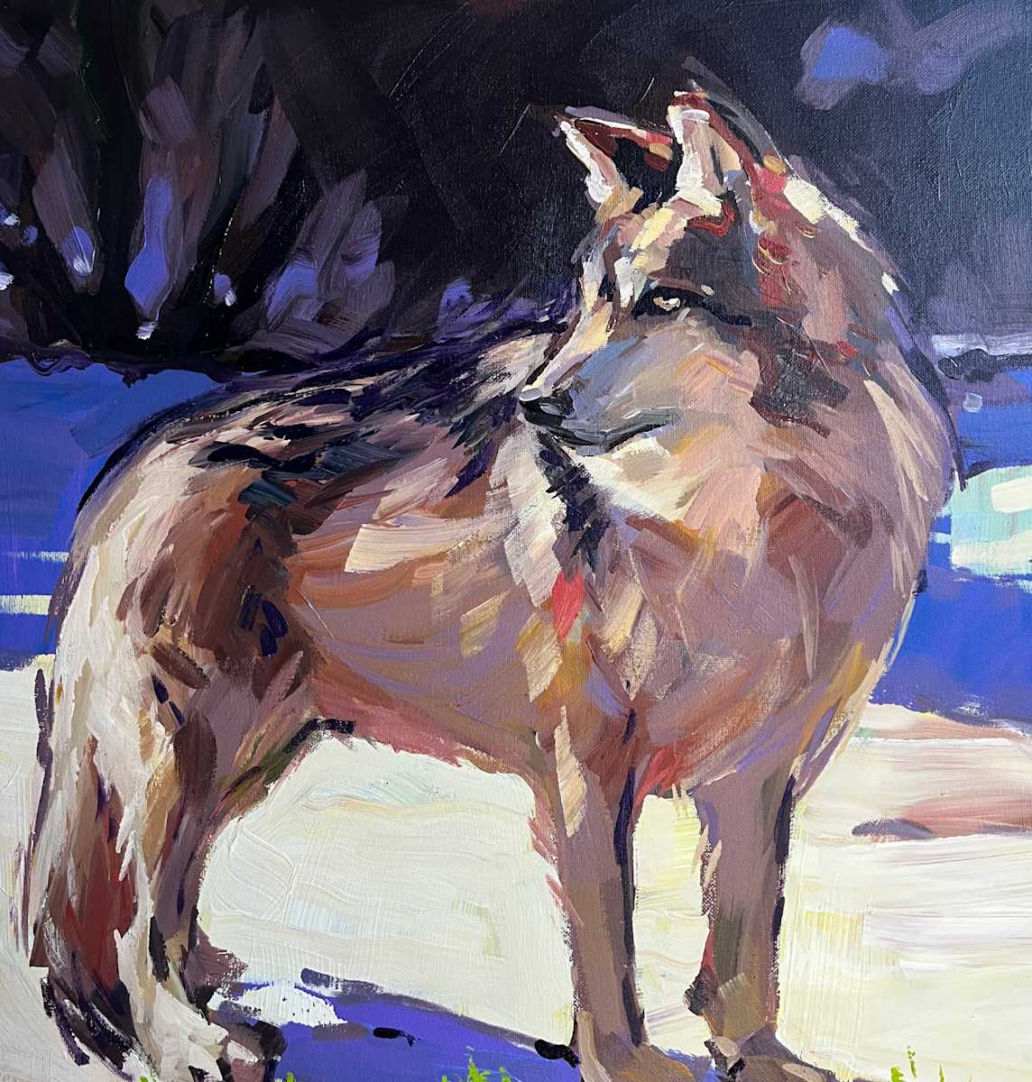 Wolf in the Snow by Laura Green, Image 1.