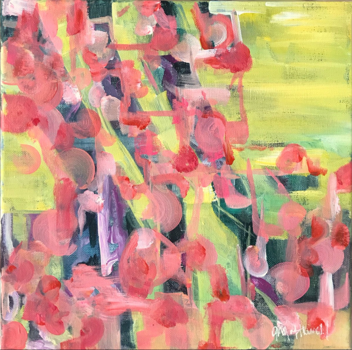 Freedom by MOLLY HOWELL 