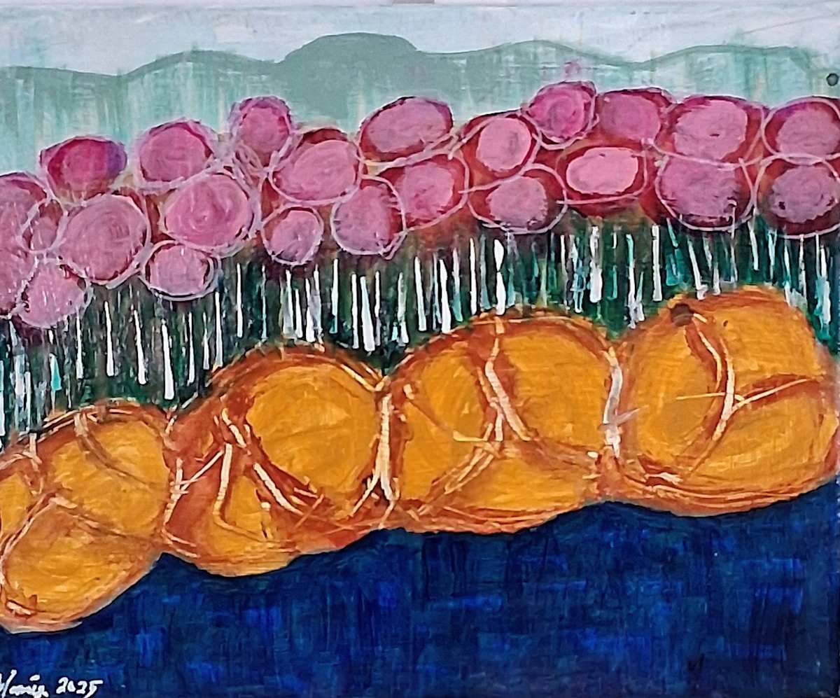 Rose garden by MANIKA SHEEDY  Image: Rose garden 