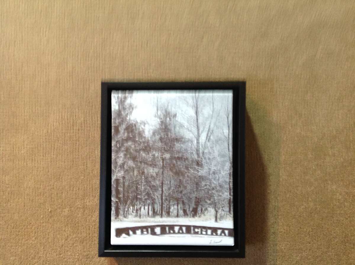 Beautiful Snowy Day by Loretta Verret, Image 1.