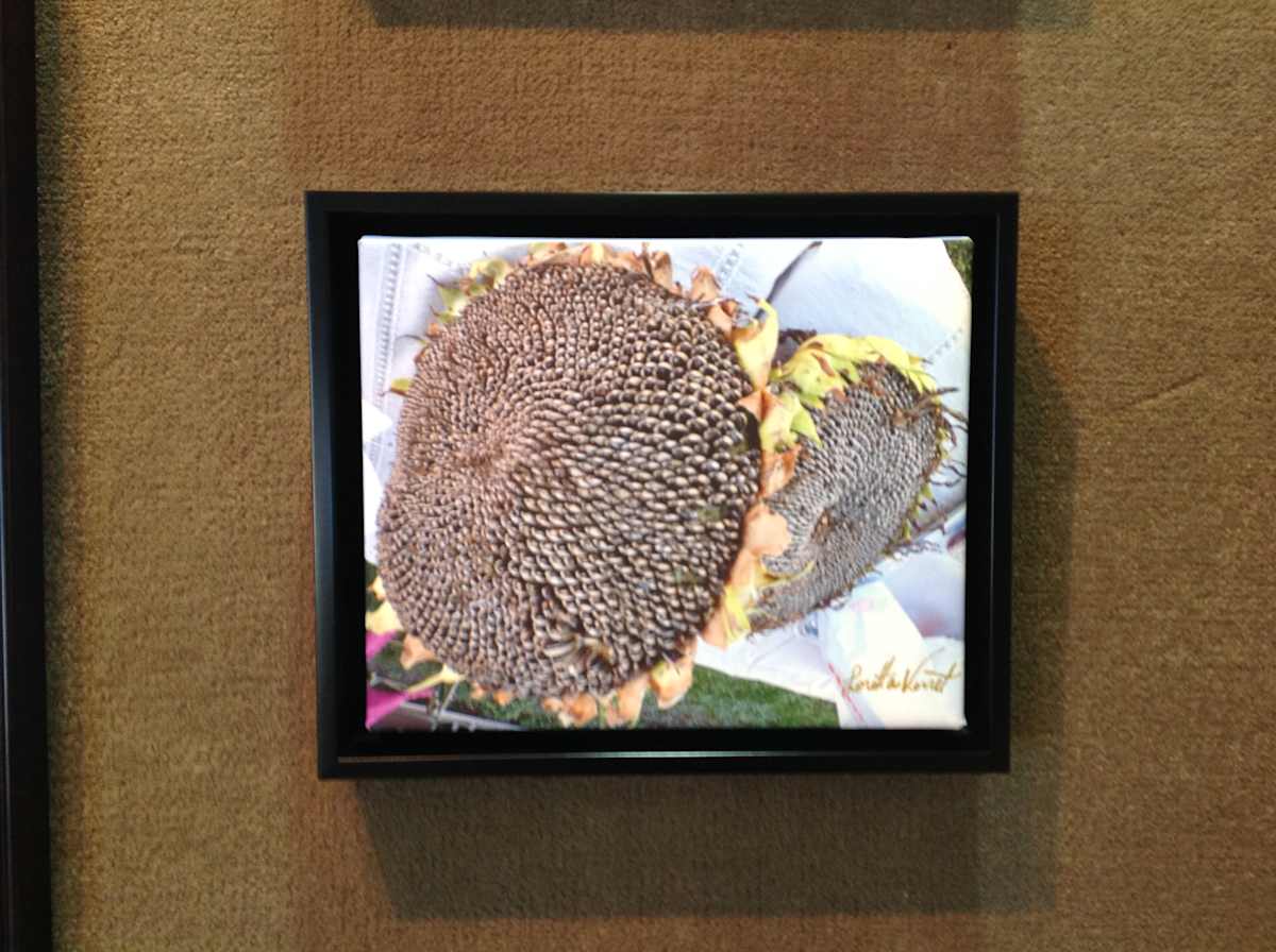 Sunflowers by Loretta Verret 