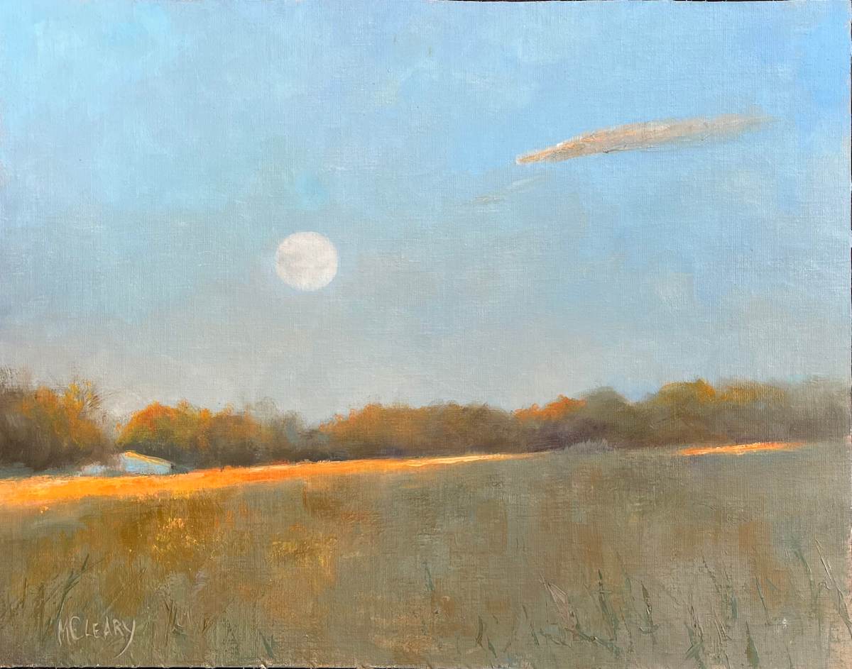 Suzy's Moon by MaryAnn Cleary 