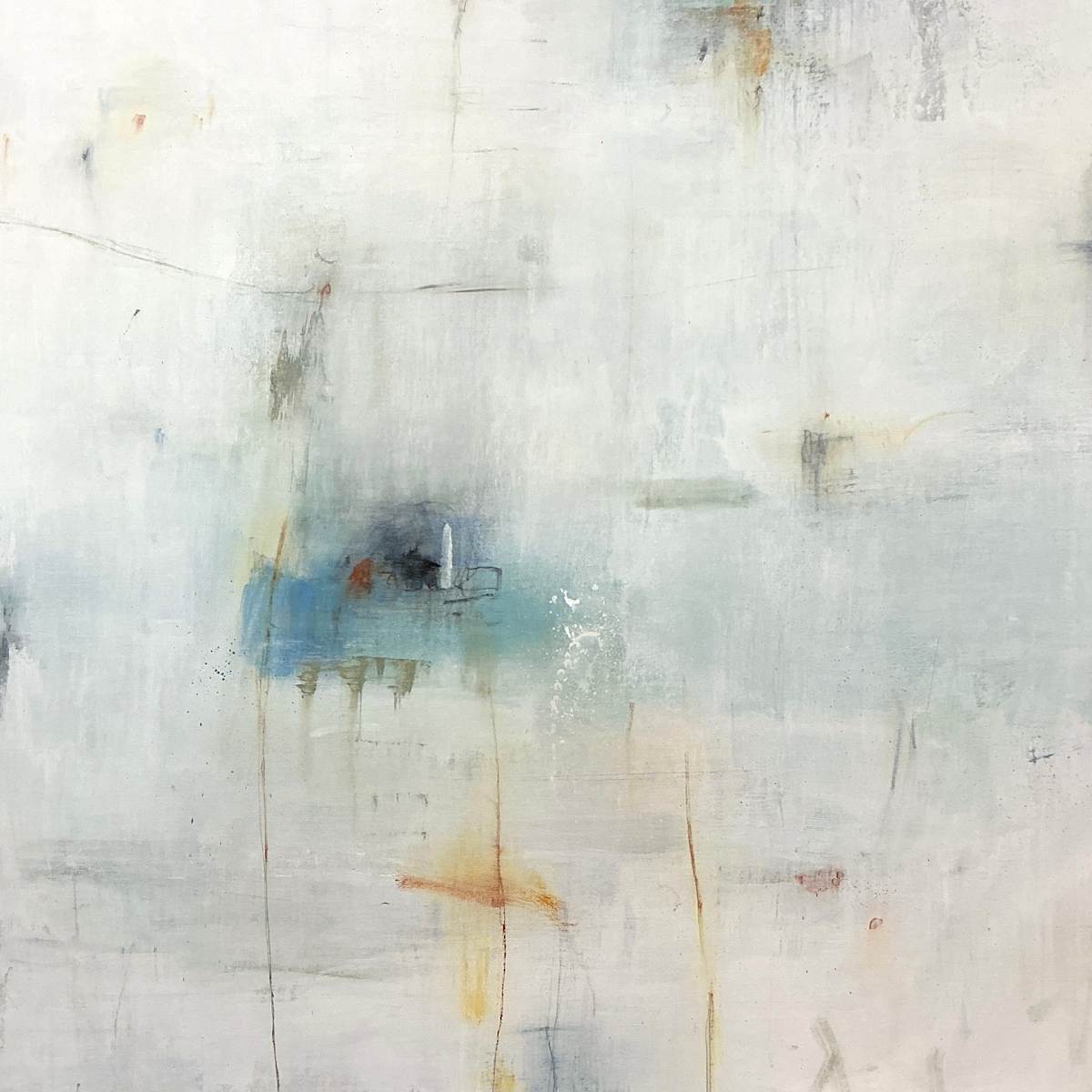 Echo Trace by Lisa Ridgers 