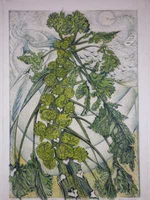 Topline by Richard Calver, Image 1.