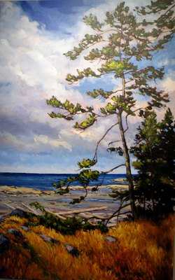 Beach Pine by Steven Armstrong, Image 1.
