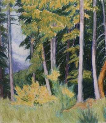 Salt Spring Landscape by Diana Dean, Image 1.