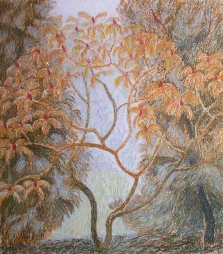 Sumac Tree by Diana Dean, Image 1.