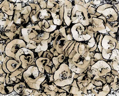 Shavings #8 by Eric Klemm, Image 1.