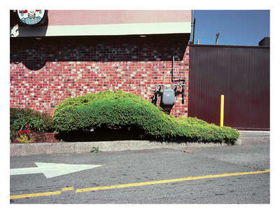 Forever Green 2 by Eric Klemm, Image 1.