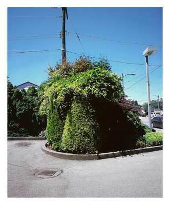 Forever Green 22 by Eric Klemm, Image 1.