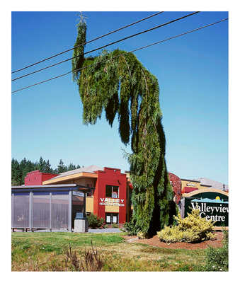 Forever Green 23 by Eric Klemm, Image 1.