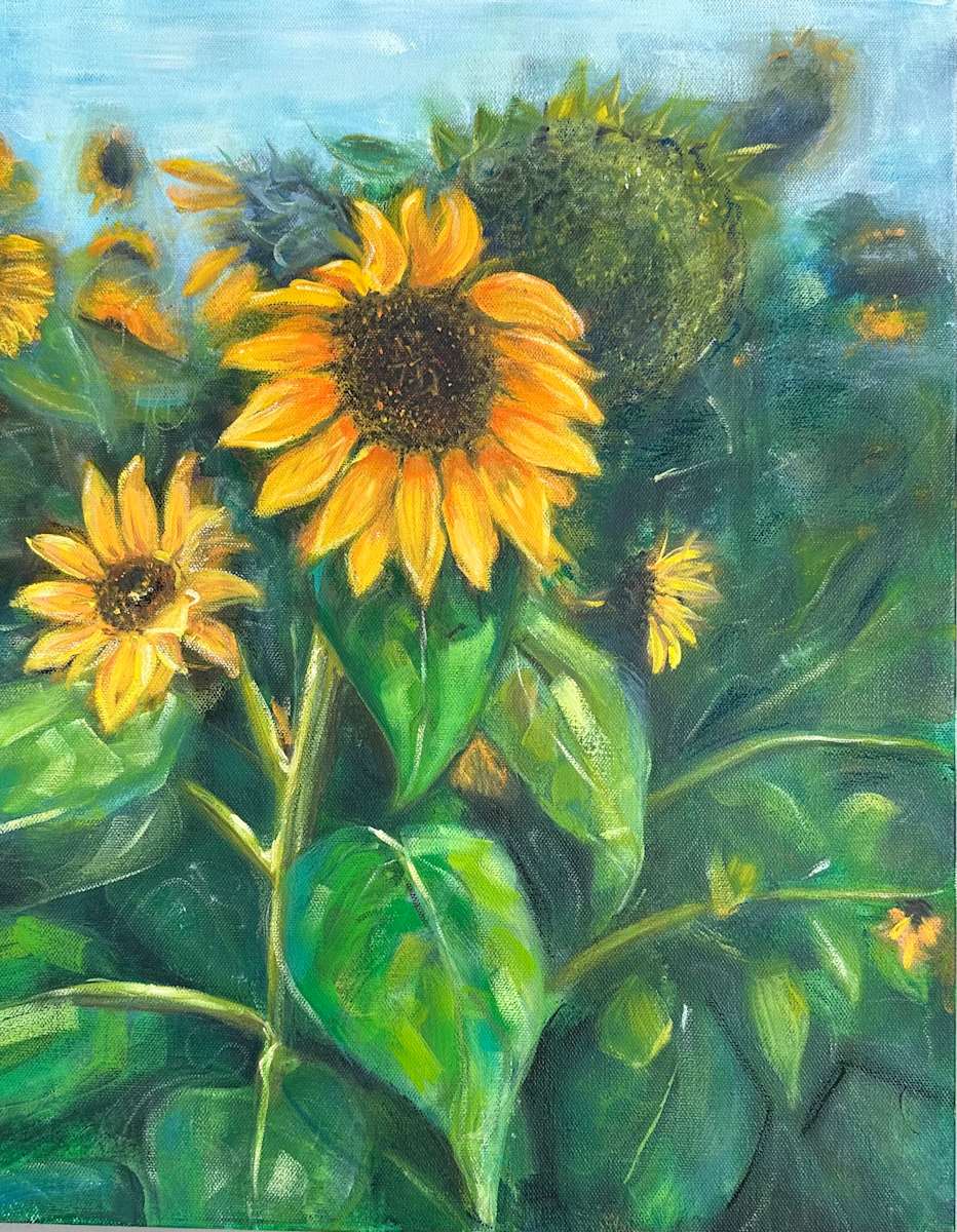 Field of Sunflowers by Jodi Gaines  Image: Sunflowers in a field by artist Jodi Gaines