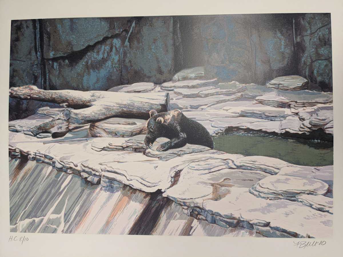 Zoo Bear by Fran Bull 