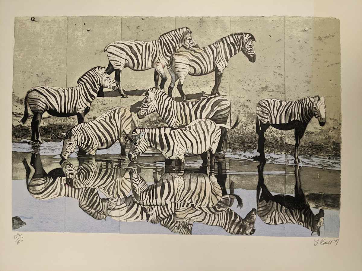 Zebras by Fran Bull 