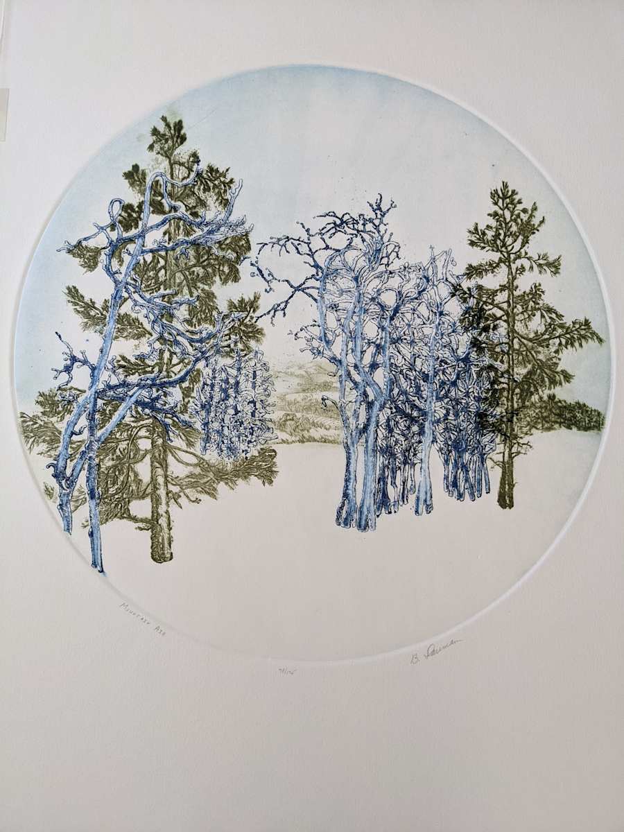 Mountain Air by Barbara Dauman 