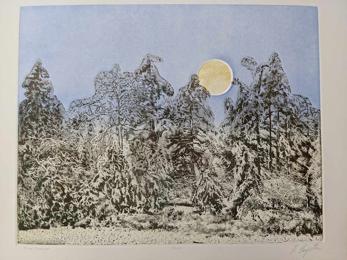 Pine Forest by T. Gayster, Image 1.
