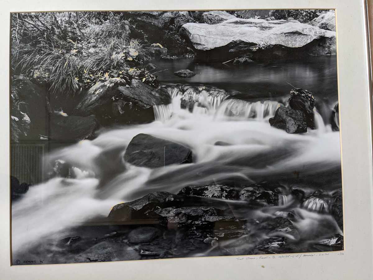 Trout Stream - Franklin, PA by L.J. Hemmis 
