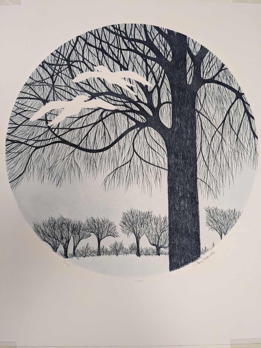 Duo by Jay Jerviss, Image 1.
