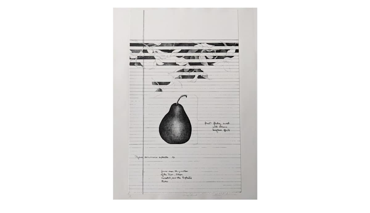 Garden Fruit by Susan J. Lawrence, Image 1.