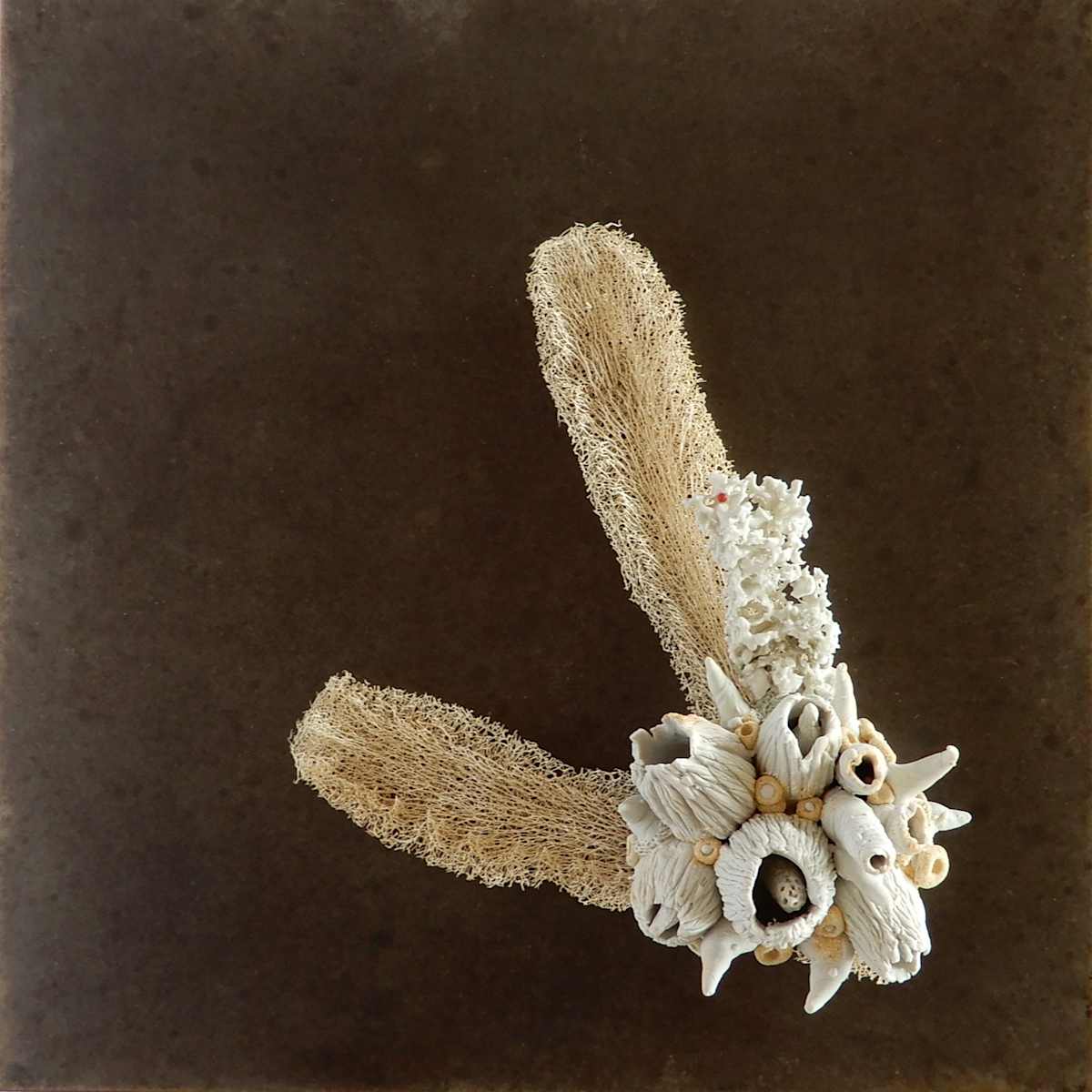 Hybridation sensible / Sensitive Hybridization by Asmae Laraqui 
