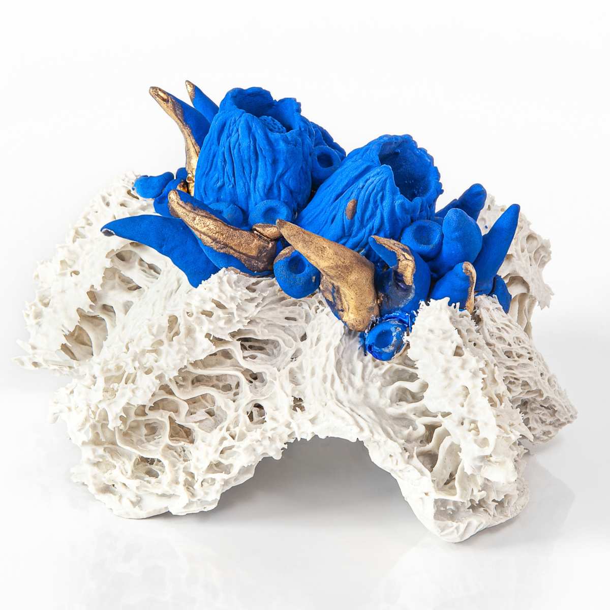 Bloom #08 by Asmae Laraqui 