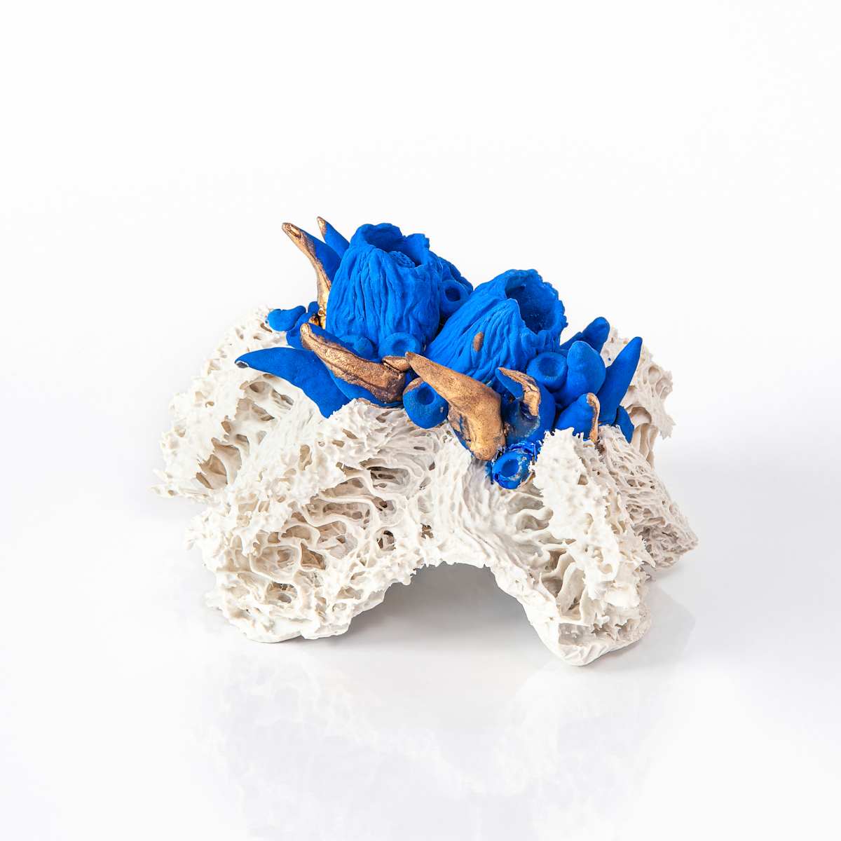 Bloom #08 by Asmae Laraqui 