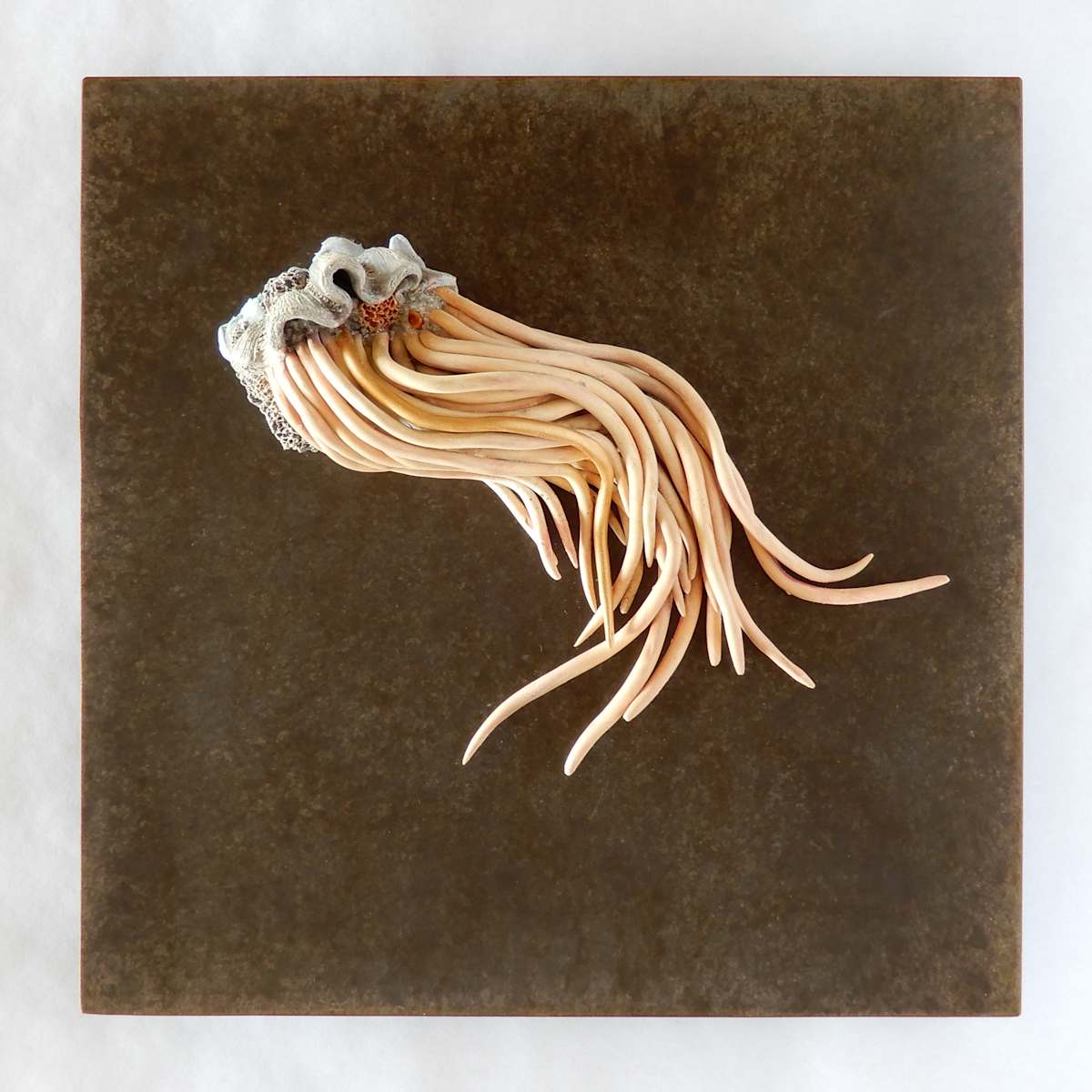 Lisière Vivante by Asmae Laraqui 