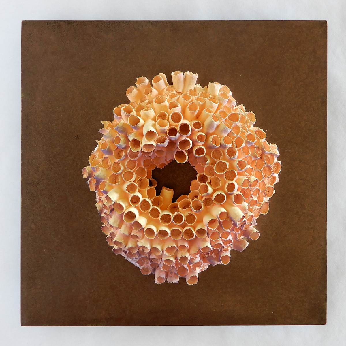 Porosité Partagée / Shared Porosity by Asmae Laraqui 