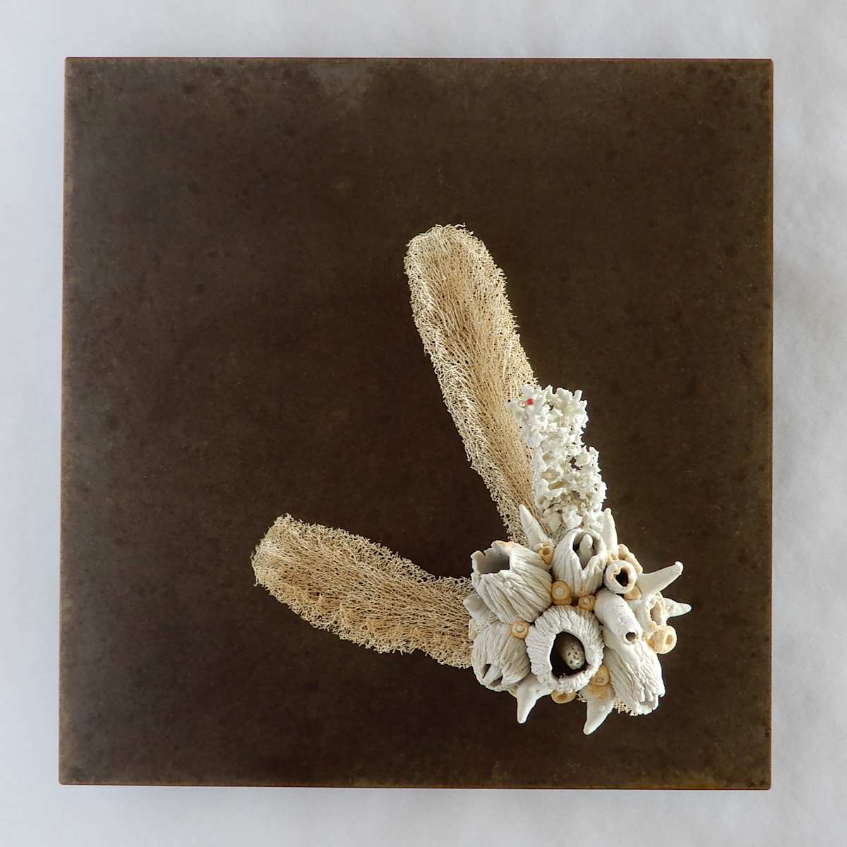 Hybridation sensible / Sensitive Hybridization by Asmae Laraqui 