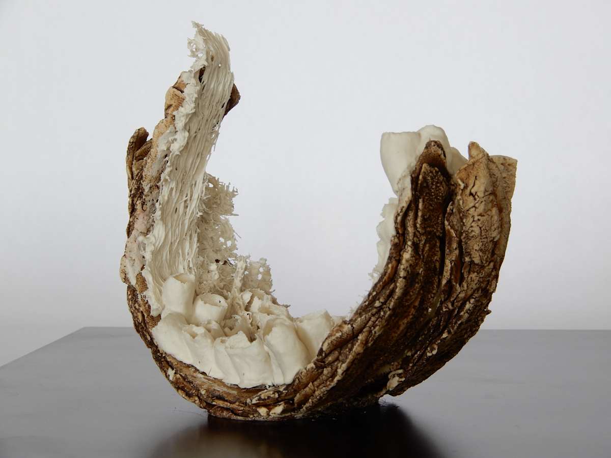 Coexistence en Devenir by Asmae Laraqui 