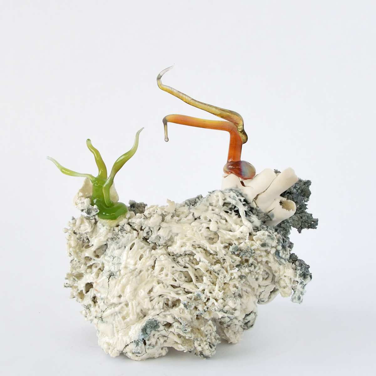 Cristallisation organique / Organic Cristallization by Asmae Laraqui 