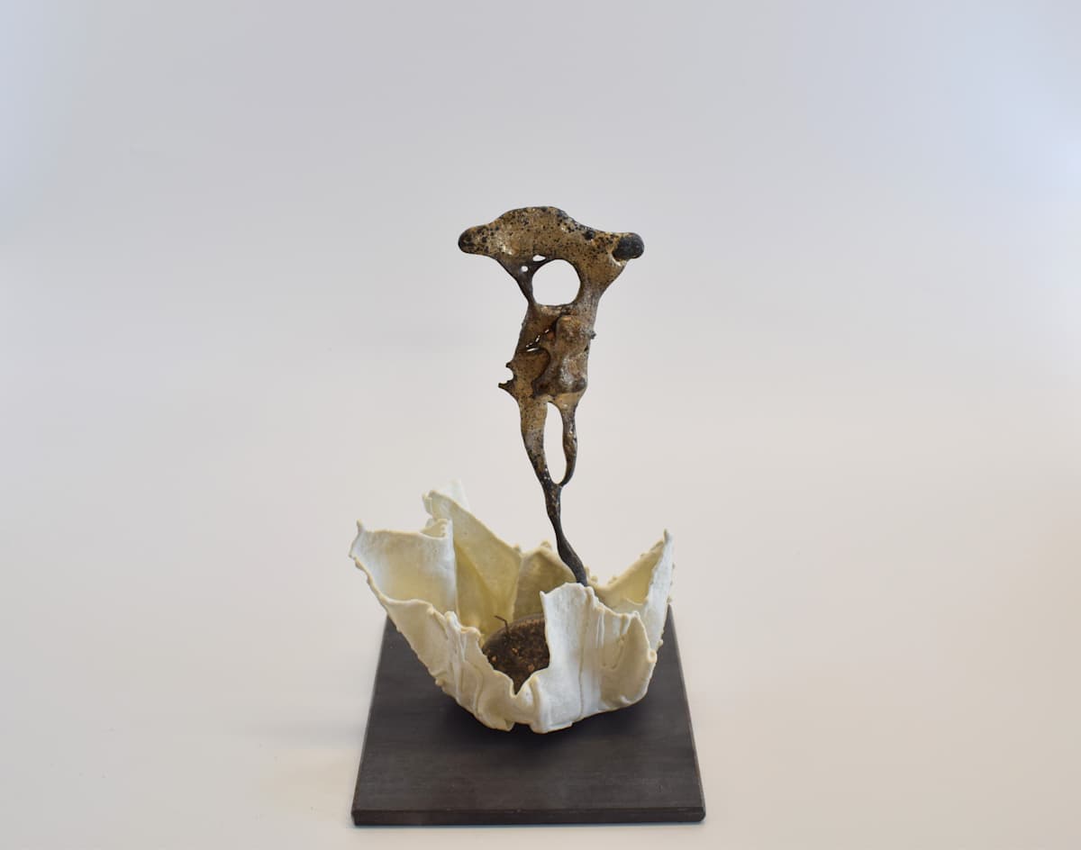 À fleur d'ombre / At the Edge of Shadow by Asmae Laraqui 