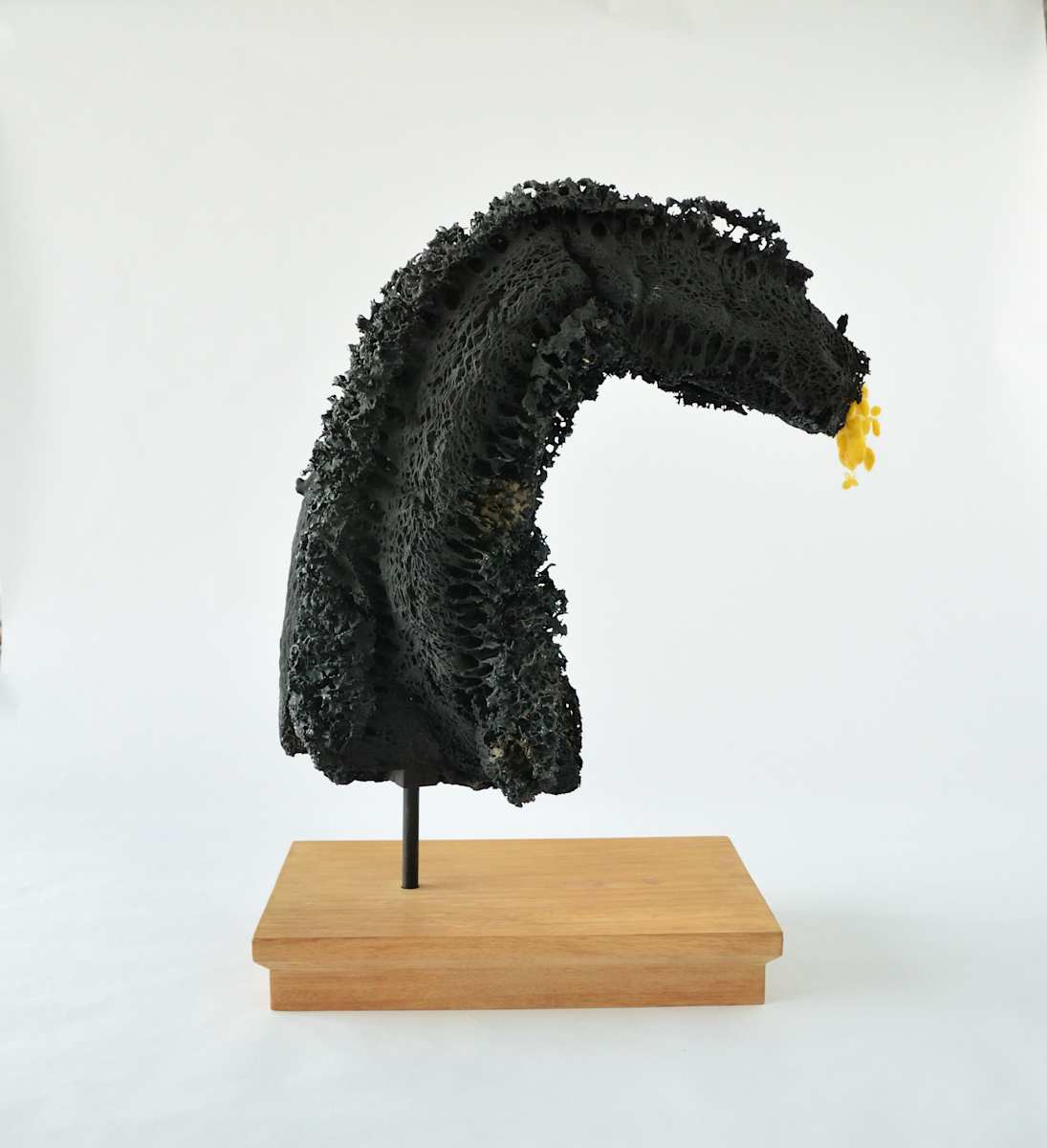 Souffle de lumière / Breath of Light by Asmae Laraqui  Image: Profil