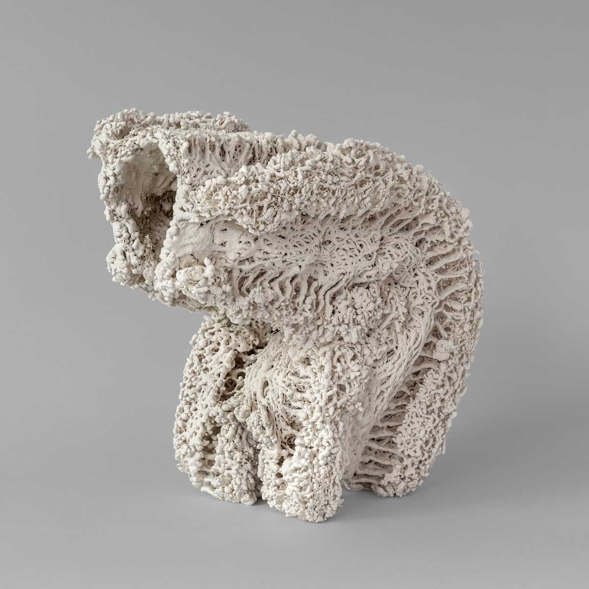 Métamorphose crue / Raw Metamorphosis by Asmae Laraqui 