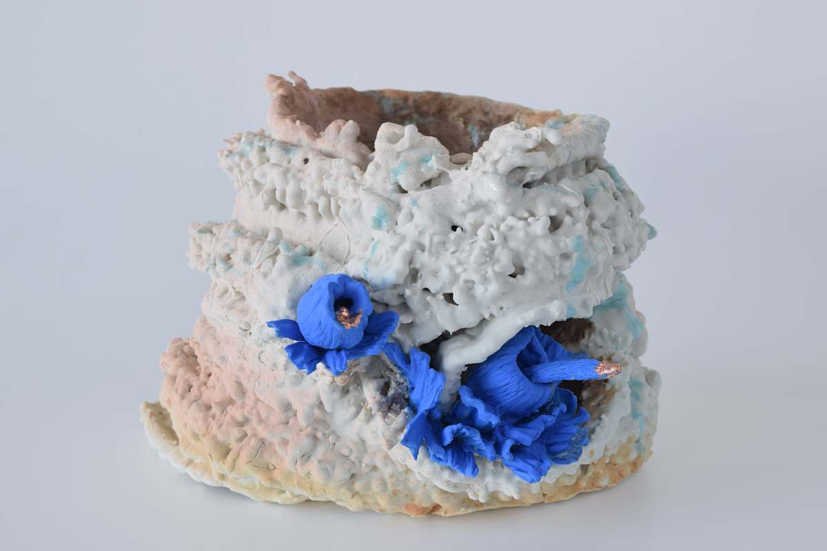 Bloom #10 by Asmae Laraqui, Image 21.