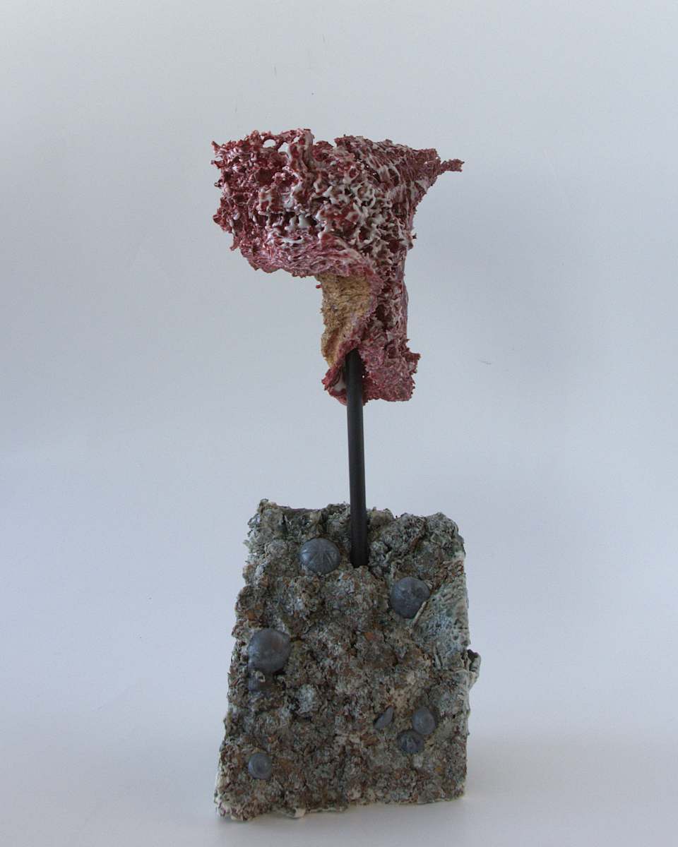 Mémoire en mutation / Memory In Mutation by Asmae Laraqui, Image 2.