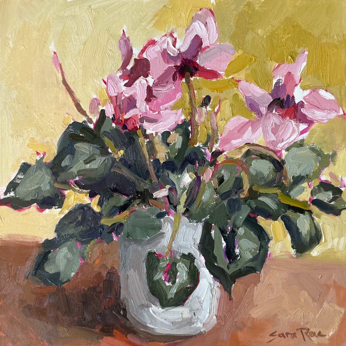 Cyclamen in the Studio by Sara Rae 
